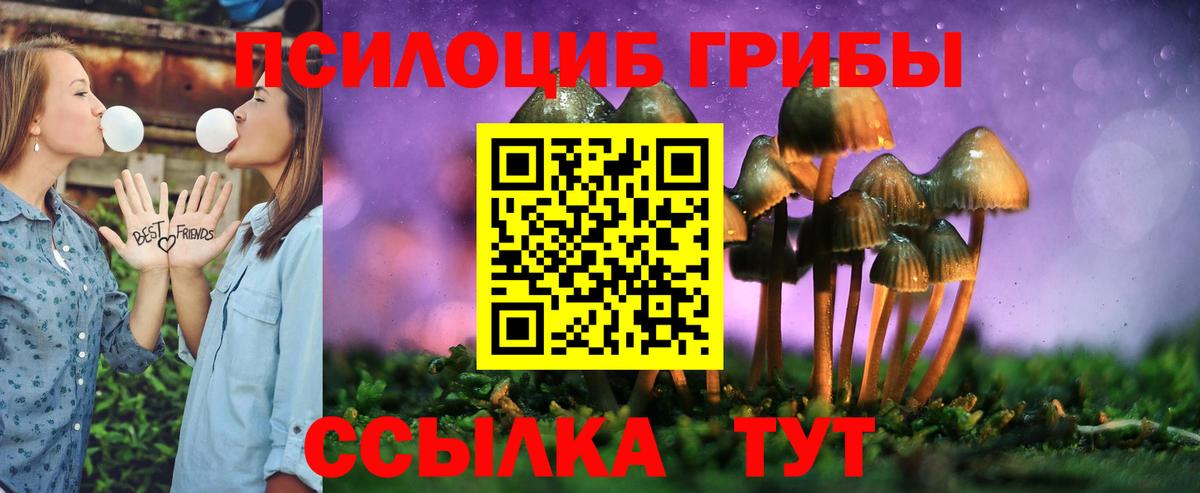 Тверь  Псилоцибиновые грибы Psilocybe  Вход с VPN 