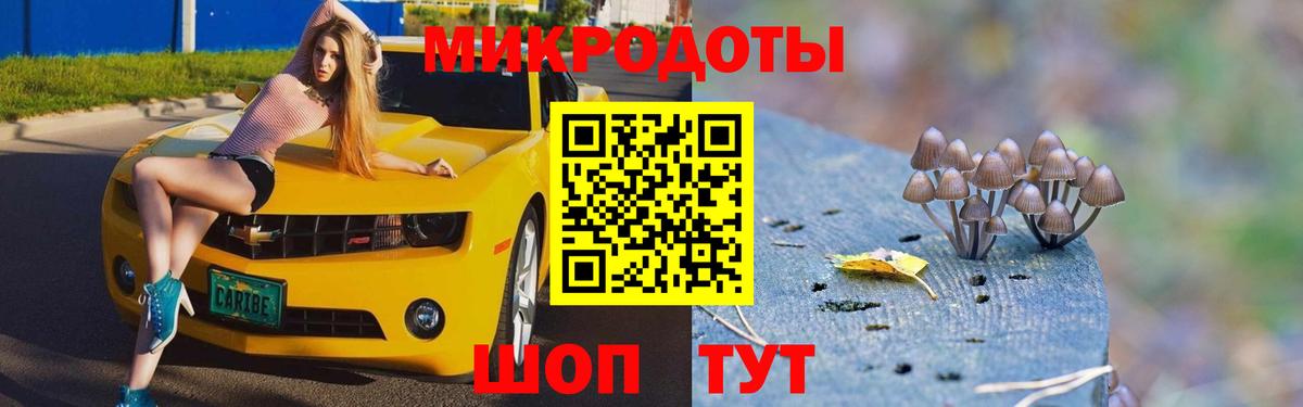 Псилоцибиновые грибы GOLDEN TEACHER Тверь